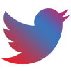 Twitter Account Management