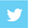 Twitter Icon